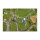 Gardena Akku-Teleskop-Baumschere HighCut 360 P4A 2Ah/18V