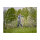 Gardena Akku-Teleskop-Baumschere HighCut 360 P4A 2Ah/18V
