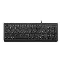 Lenovo Essential Wired (GER)