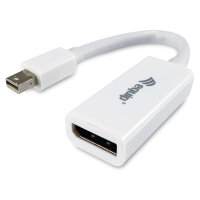 Equip Mini DisplayPort->DisplayPort Adapter St/Bu...