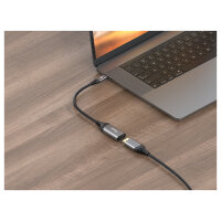 Equip Adapter USB-C -> DisplayPort 1.4 8K60Hz 0.15m gr