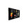 PHILIPS P-Line 50BDL3117P 24/7/UHD/750cd/ (Speditionsversand)