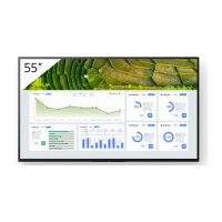 FW-55BZ30L 55INCH PRO