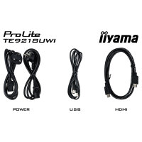 IIYAMA 232.5cm(91.5") TE9218UWI-B1AG 21:9 M-Touch HDMI+USB-C (Speditionsversand)