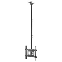 Equip Deckenhalterung 32"-70"/1TFT 50kg 1Gelenk neig. sw lite Retail