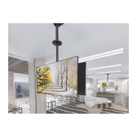 Equip Deckenhalterung 39"-75"/2TFT je 40kg 2Gelenke neig. sw lite Retail