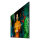 Samsung Smart Signage QH98C 247.65cm(98") Edge LED (Speditionsversand)