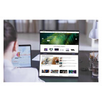 Acer PD163Qbm 15.6" 40.0cm 60Hz 1920x1080 silver