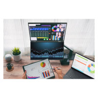 Acer PD163Qbm 15.6" 40.0cm 60Hz 1920x1080 silver