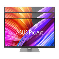 ASUS ProArt PA329CRV 80.1cm (16:9) UHD HDMI DP
