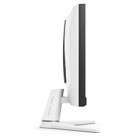 BenQ 62.3cm MOBIUZ EX251 16:9 HDMI/USB-C/DP bk. 220Hz FHD