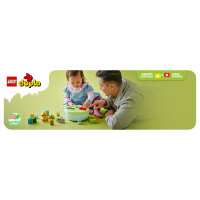 LEGO 10441 DUPLO Formsortierer: Welpenhaus