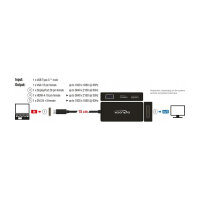 DeLOCK - externer Videoadapter - Schwarz