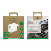 4smarts Netzladegert GaN Pocket 100W 2C+1A, weiss