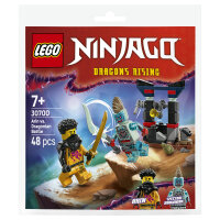 LEGO 30700 Ninjago Arins Duell mit dem Drachenmenschen (Polybag)