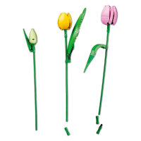 LEGO 11501 Botanicals Tulpenstrau