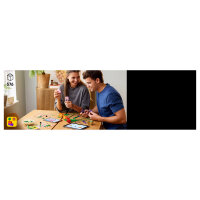 LEGO 11501 Botanicals Tulpenstrau