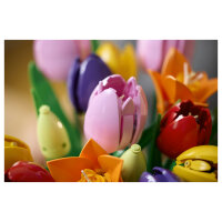 LEGO 11501 Botanicals Tulpenstrau