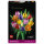 LEGO 11501 Botanicals Tulpenstrau