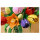 LEGO 11501 Botanicals Tulpenstrau