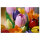 LEGO 11501 Botanicals Tulpenstrau