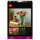 LEGO 11501 Botanicals Tulpenstrau