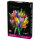 LEGO 11501 Botanicals Tulpenstrau