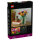 LEGO 11501 Botanicals Tulpenstrau