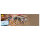 LEGO 43288 Disney Sallys Blumentopf