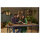 LEGO Icons 10309 Creator Expert - Sukkulenten