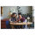 LEGO Icons 10309 Creator Expert - Sukkulenten