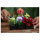 LEGO Icons 10309 Creator Expert - Sukkulenten
