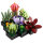 LEGO Icons 10309 Creator Expert - Sukkulenten