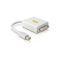 DP mini-St > DVI24+5-Bu white
