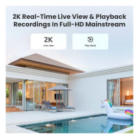 Reolink Hub 1 mit 2x Argus B310 (Battery-WiFi)